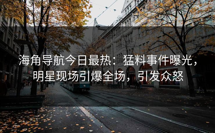 海角导航今日最热：猛料事件曝光，明星现场引爆全场，引发众怒