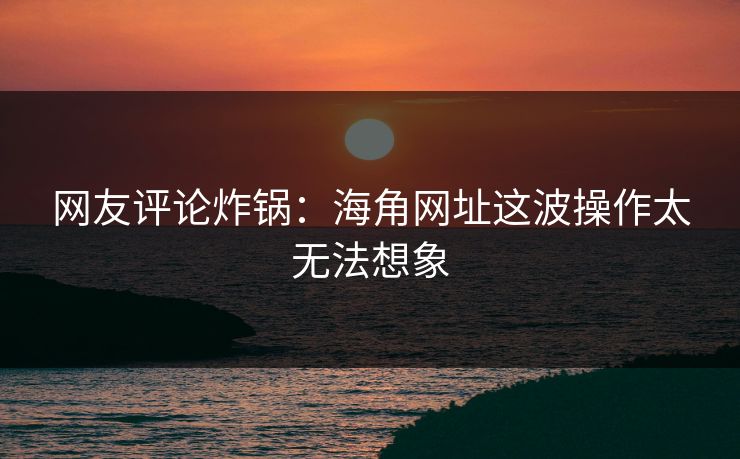 网友评论炸锅：海角网址这波操作太无法想象