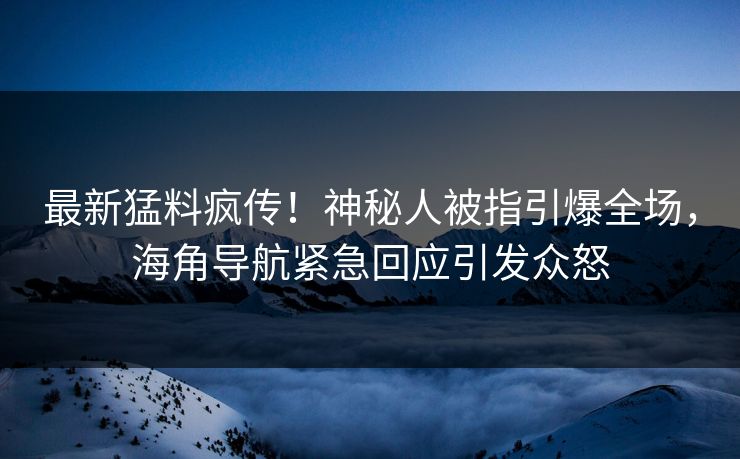 最新猛料疯传！神秘人被指引爆全场，海角导航紧急回应引发众怒