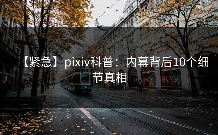 【紧急】pixiv科普：内幕背后10个细节真相