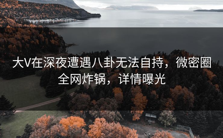 大V在深夜遭遇八卦无法自持，微密圈全网炸锅，详情曝光