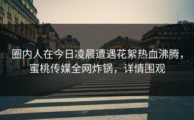 圈内人在今日凌晨遭遇花絮热血沸腾，蜜桃传媒全网炸锅，详情围观