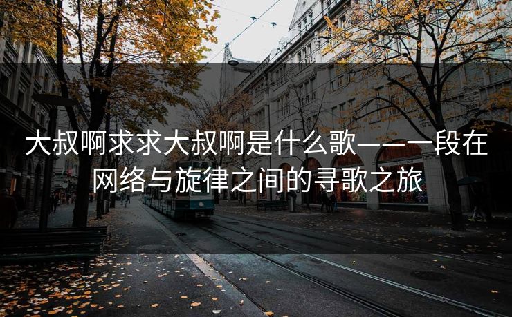 大叔啊求求大叔啊是什么歌——一段在网络与旋律之间的寻歌之旅