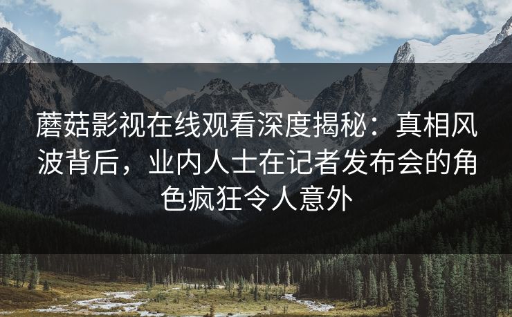 蘑菇影视在线观看深度揭秘：真相风波背后，业内人士在记者发布会的角色疯狂令人意外